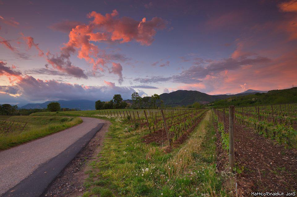 Wine & Lake In Franciacorta Passirano Buitenkant foto