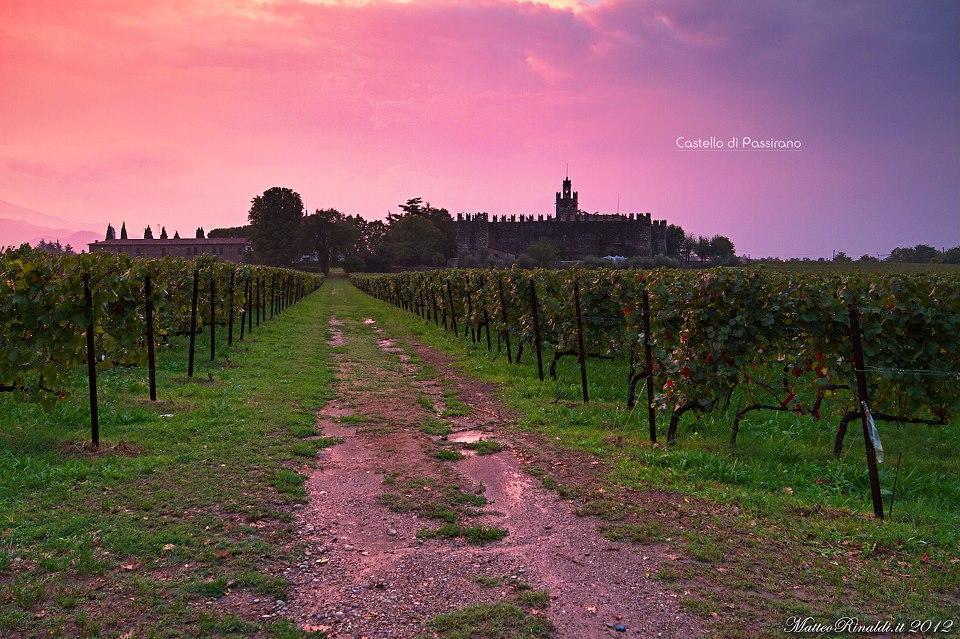 Wine & Lake In Franciacorta Passirano Buitenkant foto